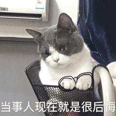 DƬ